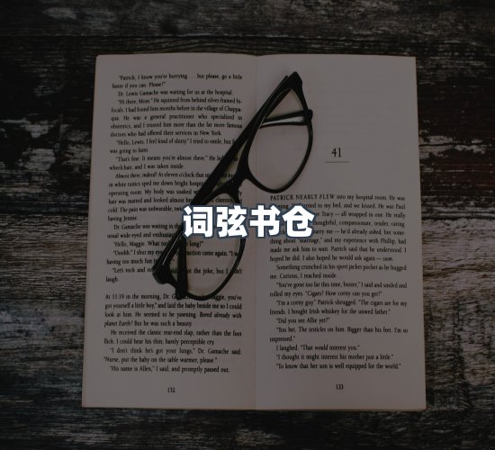 关于词弦书仓